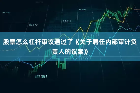 股票怎么杠杆审议通过了《关于聘任内部审计负责人的议案》