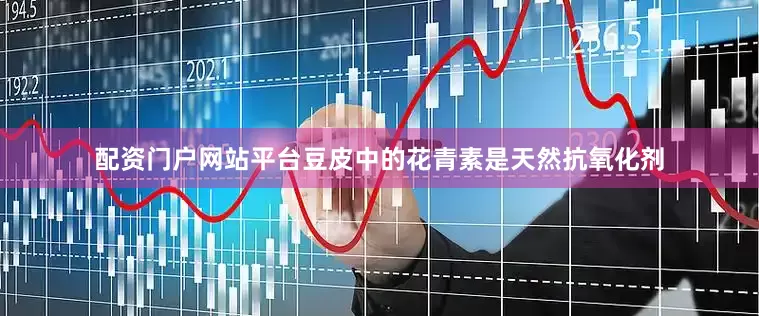配资门户网站平台豆皮中的花青素是天然抗氧化剂