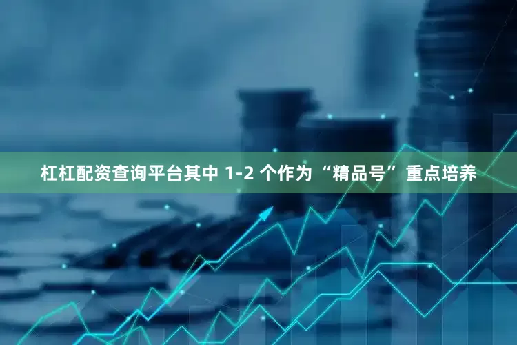 杠杠配资查询平台其中 1-2 个作为 “精品号” 重点培养