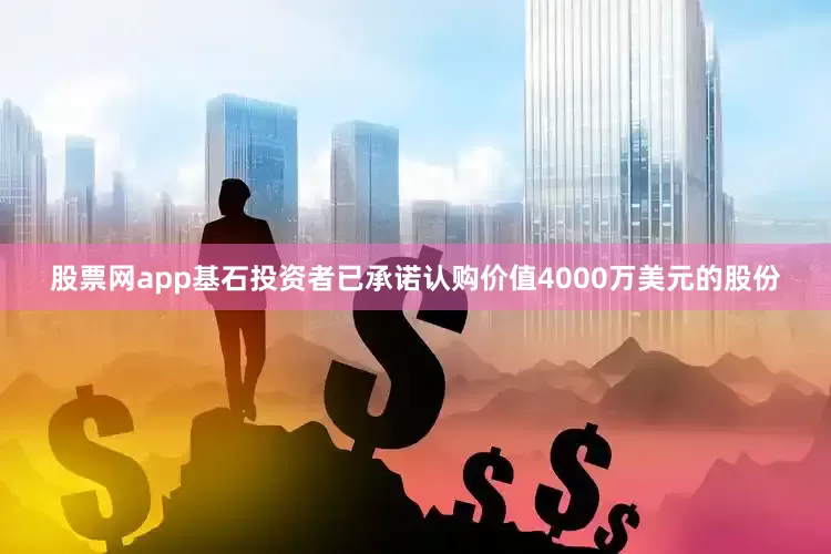 股票网app基石投资者已承诺认购价值4000万美元的股份