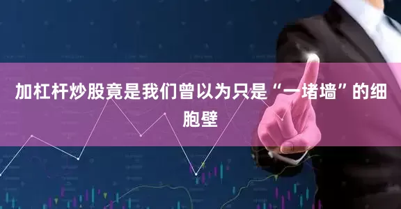 加杠杆炒股竟是我们曾以为只是“一堵墙”的细胞壁
